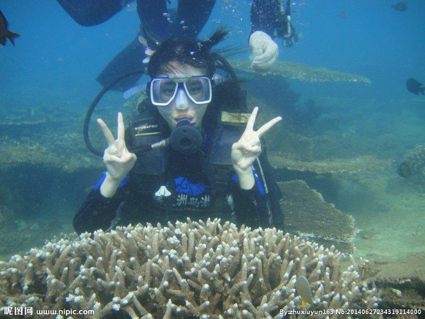 海滩度假胜地逃脱